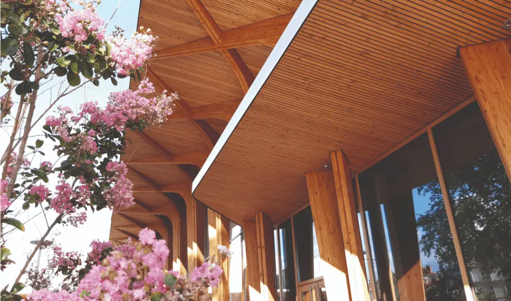 Improve the environmental impact leon grosse